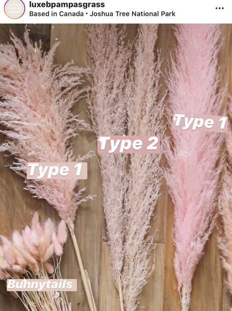 Pink Pampas Grass Decor, Boho Pink Wedding, Elm Wood Furniture, Rose Gold Room Decor, Weddings Decorations Elegant Romantic, Pink Pampas, Pink Pampas Grass, Blush Bridal Showers, Pampas Grass Bouquet