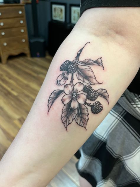 Blackberry Tree Tattoo, Mulberry Tattoo Black And White, Blackberry Tattoo Black And White, Bramble Drawing, Blackberry Shoulder Tattoo, Blackberry Bramble Tattoo, Berry Bush Tattoo, Blackberry Bush Tattoo, Blackberry Flower Tattoo