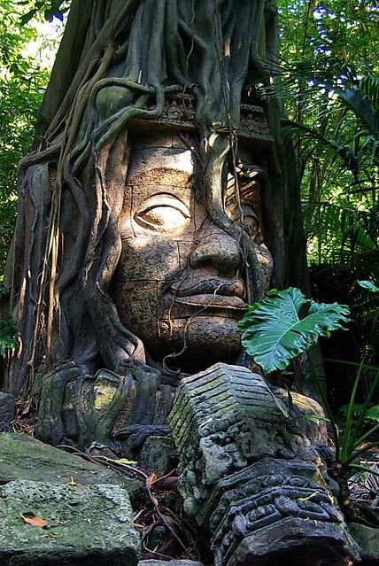 Jungle Cruise, Disneyland Pictures, Home Remodel, Fantasy Places, Tree Roots, Angkor Wat, Ancient Architecture, Arte Fantasy, Ancient Ruins