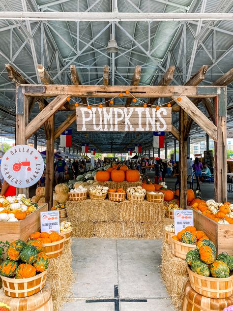 Fall Farm Stand Ideas, Pumpkin Sale Stand, Fall Festival Entrance Ideas, Pumpkin Stand Ideas, Fall Fest Decor, Pumpkin Patch Entrance, Pumpkin Patch Display, Fall Farmstand, Harvest Festival Food