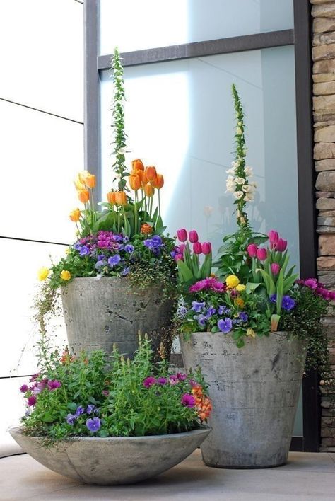 Urban Garden Design, Patio Flowers, Small Front Yard Landscaping, Small Front Yard, Garden Wallpaper, Cement Planters, Have Inspiration, Beautiful Flowers Garden, Garden Containers