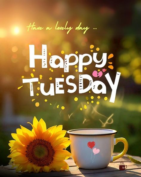 Good Morning Tuesday Wishes, Tuesday Morning Quotes, Tuesday Wishes, Happy Tuesday Images, Good Tuesday Morning, Beautiful Morning Pictures, Good Morning Tuesday Images, Scentsy Posts, Whatsapp Good Morning