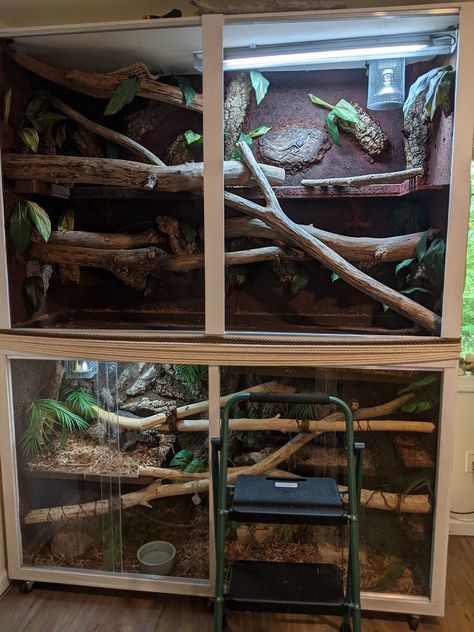 Ball Python Enrichment, Diy Snake Enclosure, Boa Enclosure, Snake Enrichment, Ball Python Enclosure, Snake Tanks, Python Enclosure, Lizard Cage, Bearded Dragon Terrarium Ideas