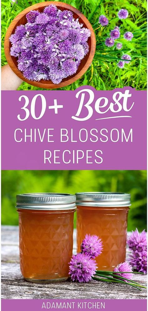 Chive Flowers Recipe, Flowers Recipes, Growing Chives, Chives Recipe, Flower Recipes, Chive Flower, Chive Blossom, Edible Flowers Recipes, Produce Recipes