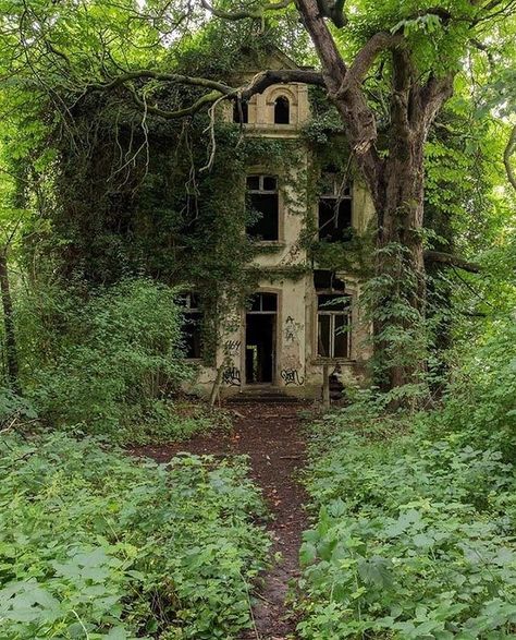 Apocalypse Aesthetic, Lost Garden, W.i.t.c.h Aesthetic, Forest Cabin, Cottage In The Woods, Abandoned Mansions, Forest House, Dream House Exterior, Abandoned Buildings