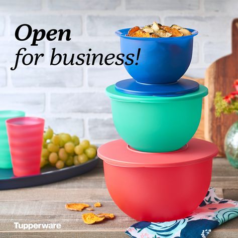 Tupperware Consultant, Innovative Kitchen, Business Opportunity, Kitchen Products, Host A Party, Party Shop, Mendoza, Mary Kay, Tupperware