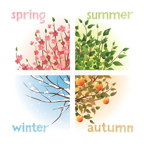 Seasons. 4 seasons in 1 tree , #Ad, #Seasons, #seasons, #tree #ad All Four Seasons In One Picture, 4 Seasons Illustration, 4 Seasons Tree Painting, 4 Seasons Painting, 4 Seasons Art, Tree Seasons, Four Seasons Art, Seasons Art, Tree Illustration