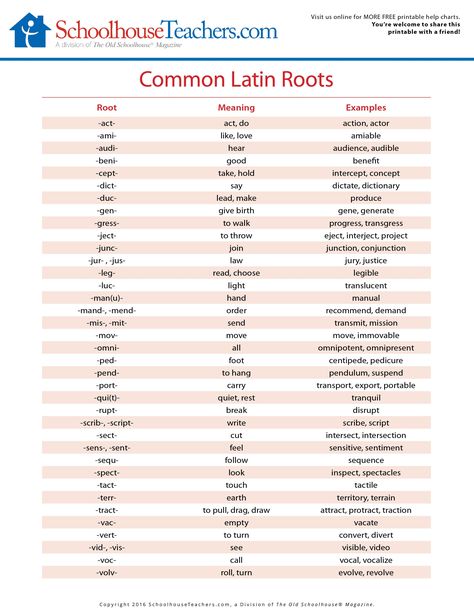 Root Words Activities, Teaching Prefixes, Latin Root Words, Teaching Latin, Printable School, Prefixes And Suffixes, Gain Knowledge, Root Words, Latin Words