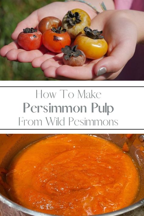 how to make persimmon pulp from wild persimmons Persimmon Pulp, Persimmon Cookies, Persimmon Pudding, Pulp Recipe, Persimmon Recipes, Persimmon Fruit, A Fruit, Canning Recipes, The Fruit