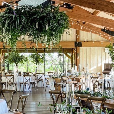 Red Maple Vineyard on Instagram: "Absolutely stunning floral design by @athabold this past weekend ✨🌿✨ . . Event Planner : @ginamaloney_events . . #floraldesign #greenery #whimsical #weddingreception #weddingdesign #eventplanner #eventdesign #dreamy #florist #floristry #weddingphotography #weddinginspo #weddinginspiration #weddingvenue #art #creativity #beauty #eventvenue #eventvenues #naturalbeauty" Dream Garden Wedding, Autumn Wedding Reception, Art Creativity, Barn Weddings, Red Maple, Vineyard Wedding, Greenery Wedding, Dream Garden, Event Planner