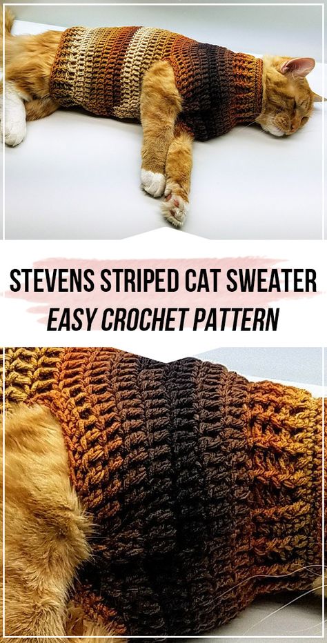 crochet Stevens Striped Cat Sweater pattern #CatSweater #crochet#crochetpattern via @shareapattern.com Cat Sweater Pattern, Crocodile Stitch, Crochet Bag Pattern Free, Cat Sweater, Striped Cat, Stitch Crochet, Fun Crochet Projects, Chunky Crochet, Crochet Dog