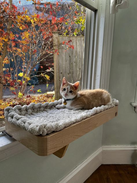 CAT WINDOW PERCH / CAT WINDOW SHELF / CAT PERCH / CAT WINDOW BED / THE NAMU / www.jhnamu.com Katt Diy, Cat Room Ideas, Cat Room Decor, Katt Grejer, Cat Area, Cat Window Perch, Pet Room, Window Perch, Cat House Diy