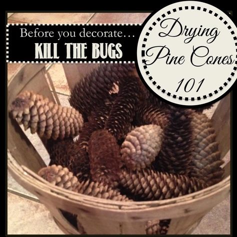 Two It Yourself: Pinecone Decor: How to clean and dry pine cones for crafts Clean Baking Pans, Cleaning Painted Walls, Glass Cooktop, Deep Cleaning Tips, Pine Cone Decorations, Diy Website, Cones Crafts, Deco Originale, Pine Cone Crafts