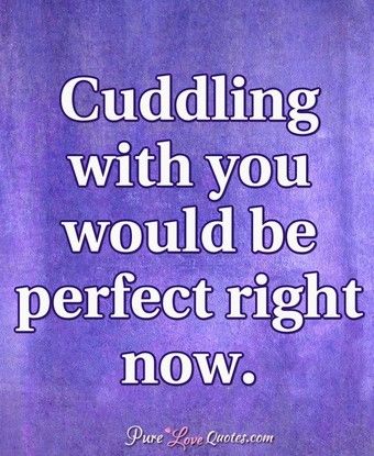 Purple Couple, Lovable Quotes, Cuddle Quotes, Pure Love Quotes, About You Quotes, Inspirational Relationship Quotes, Boyfriend Stuff, Love My Wife Quotes, Good Night I Love You