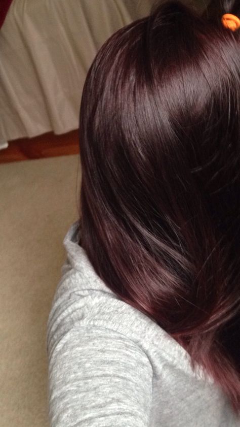 Dyed my hair dark plum brown <3 Dark Plum Brown Hair, Plum Brown Hair, Pelo Color Vino, Nails Dark, Brown Hair Shades, Plum Hair, Coloured Hair, Hair Dark, Brown Hair With Blonde Highlights