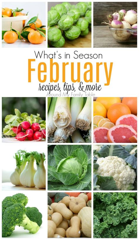 This February -- What's In Season Guide is full of tips and recipes to inspire you to shop and eat seasonally. #seaonalproduce #whatsinseason #february February Recipes, Seasonal Produce Guide, Farmers Market Recipes, Fruit Popsicles, Whats In Season, Seasonal Produce, Eat Seasonal, Family Table, Veggie Side Dishes