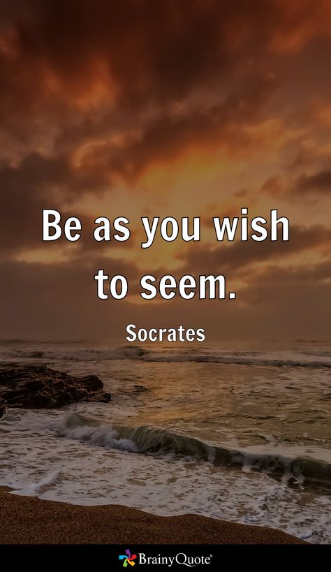 Socrates Quotes Philosophy, Quotes Philosophy, Socrates Quotes, True Things, Socrates, A Whole New World, Philosophy, Quotes, Funny