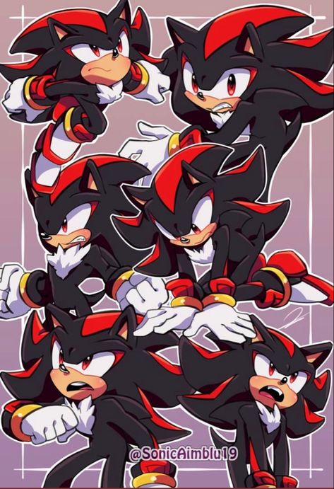 Hedgehog Images, Shadow Fanart, Shadow And Rouge, Shadow And Maria, Shadow Sonic, Shadow And Amy, Rouge The Bat, Sonic Heroes, Silver The Hedgehog