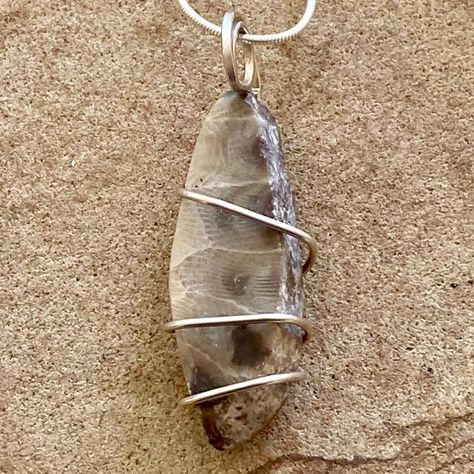 What do you know about Petoskey Stones? Check out my blog to read about these wonderful stones composed of a fossilized rugose coral. https://treselegantedesigns.com/blogs/news https://treselegantedesigns.com/products/674-petoskey-stone Linkpop Blog in Profile @ontheedgegallery @thefinerartsgallery @thearthubsunnyslope #petoskeystone #fossil #stone #sterlingwrapped #handmadejewelry #treselegantedesigns Petosky Stone, Petoskey Stone, Cuff Earrings, Earrings Collection, Sign Design, Silver Wire, Leather Cord, Custom Jewelry, Fossil