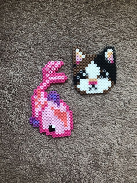 Axolotl Perler Beads, Fish Perler Beads Pattern, Perler Bead Fish, Cat Perler Beads, Cat Perler Bead Patterns, Betta Fish Perler Beads, Cat Pearl Beads, Orange Cat Perler Beads, Tiny Perler Bead Patterns