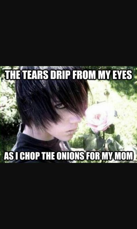 Emo memes reduced from their original dark purposes. Thanks. Good thing I am emo and can relate to the boys annoyed expression with being in this meme. Ricky Fort, Emo Cringe, Emo Memes, Rawr Xd, Black Parade, Scene Emo, Emo Scene, My Chemical, Emo Boys