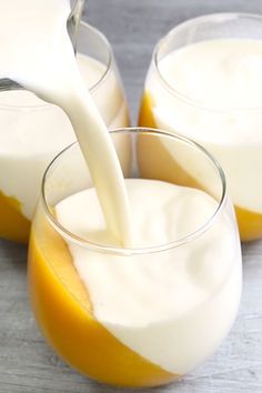 Mango Panna Cotta Panda Cotta Recipe, Pans Cotta, Panacotta Recipe Easy, Mango Panacotta Recipe, Mango Panacotta, Best Panna Cotta Recipe, Mango Panna Cotta Recipe, Panda Cotta, Lemon Panna Cotta