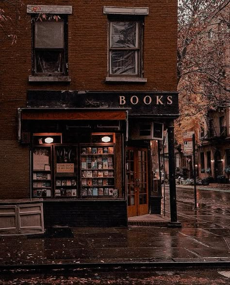 Tea Person, Bookstore Cafe, Dream Library, London Lifestyle, Book Cafe, Dark Autumn, Dark Academia Aesthetic, Creative Artwork, Top Art