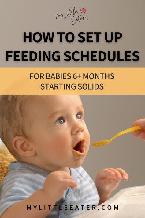 How to set up a feeding schedule for babies 6+ months old 6 Month Old Schedule, Introduce Solids To Baby, Starting Solid Foods, 5 Month Old Baby, Baby Feeding Chart, Baby Feeding Schedule, Baby Schedule, Formula Feeding, Introducing Solids