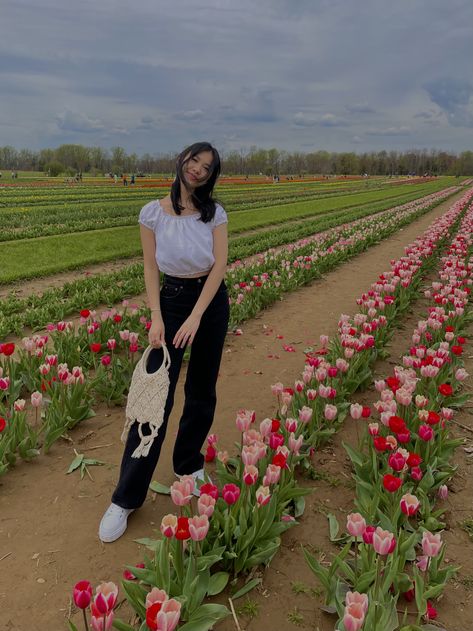 Tulip Festival Photoshoot Outfit, Tulip Farm Aesthetic, Texas Tulips Outfit, Tulip Field Outfit Ideas, Tulip Picking Outfit, Tulip Farm Outfit, Tulip Festival Photoshoot, Tulip Farm Photoshoot, Flower Farm Photoshoot