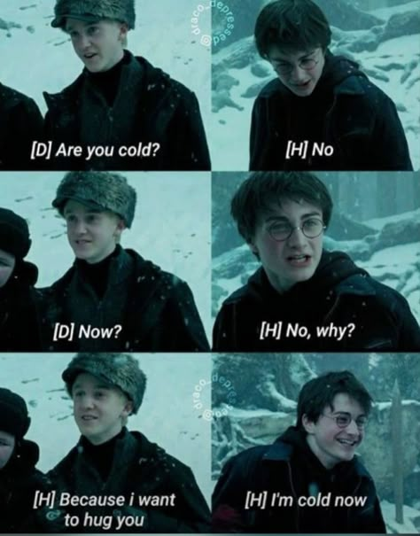 Harry Potter Funny Memes, Harry Potter And His Friends, Harry Potter X Draco Malfoy, Harry And Draco, Meme Harry Potter, Harry Potter Drarry, Citate Harry Potter, Glume Harry Potter, Harry X Draco