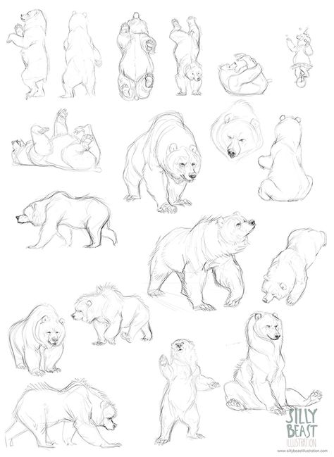 Polar Bear Drawing, Urs Polar, Bear Sketch, Bear Tattoos, Animal Drawings Sketches, Nature Sketch, Bear Drawing, Animal Study, Cartoon Sketches