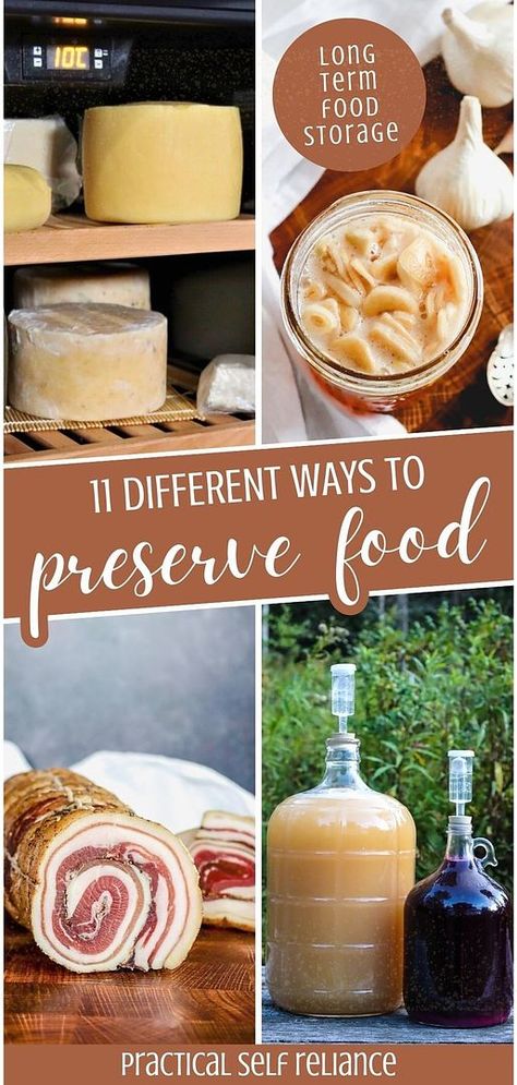 Discover 11 Different Ways to Preserve Food, a vital aspect of long term food storage. This guide covers a range of methods from ancient techniques to modern approaches, suitable for fruits, vegetables, meats, and more. Ideal for those interested in sustainable living and food preservation. Learn about homesteading skills and emergency food storage supply at practicalselfreliance.com. Ancestral Living, Food Preservation And Storage, Apartment Homestead, Homestead Canning, Diy Food Storage, Preserved Food, Living Frugal, Canning Food, Canning Food Preservation