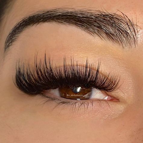 Eyelash Styles, Lash Extentions, Hybrid Cat, Perfect Eyelashes, Pretty Lashes, Lash Artist, Strip Lashes, Beauty Ideas, Artist On Instagram