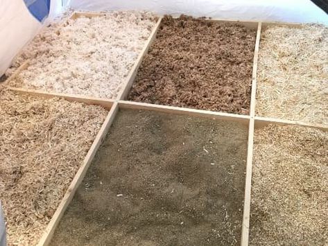 5 chick brooder beddings tested: My chicks chose their favorite Chick Brooder Toys, Brooder Inside Chicken Coop, Inside Chicken Coop, Chick Brooder, Easy Flooring, Brooder Box, Chicken Brooder, Pine Shavings, Clean Chicken