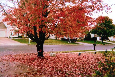 Childhood Memories Halloween, Fall Nostalgia 2000s, 2000 Halloween Nostalgia, Childhood Halloween Aesthetic, Alex G Autumn, 2000s Fall Nostalgia, Halloween Nostalgia 2000s, Nostalgic Halloween Aesthetic, Early 2000s Halloween Nostalgia