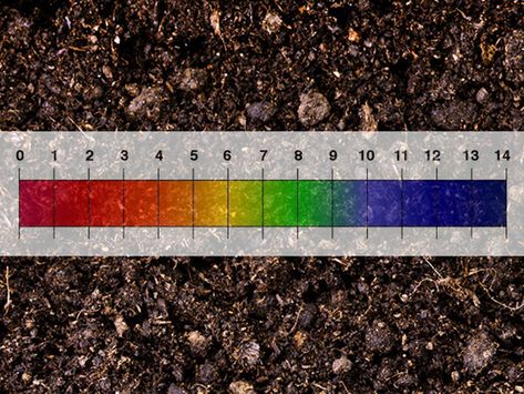 soil-pH-scale Ph Scale, Soil Microorganisms, Peat Soil, Water Irrigation, Soil Texture, Corn Plant, Plant Nutrients, Soil Ph, Sandy Soil