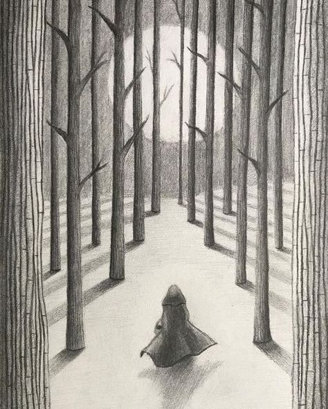 Snowy Woods, Snow Night, Forest Drawing, Shadow Drawing, Night Illustration, Woods Forest, Winter Tree, Forest Illustration, Snowy Forest