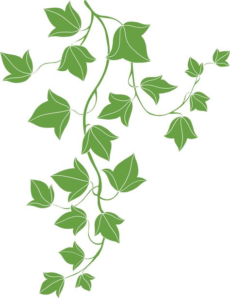 simplicity ivy freehand drawing flat design Vines Plants Drawing, Vine Drawing Simple, Ivy Draw, Vine Illustration, Vine Drawing, Freehand Drawing, Ivy Leaves, Vine Leaves, Wall Designs