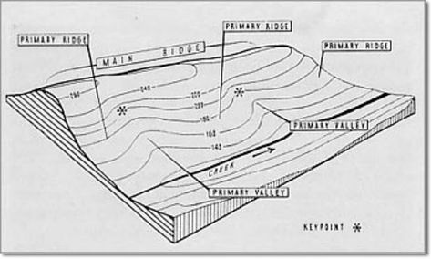 Keyline Design as an Organizing Pattern for Permaculture Design, Part 1 (Sweden) Water Collection System, Hillside Landscaping, Permaculture Design, Farm Tools, Aquaponics System, Urban Homesteading, Water Collection, Garden Help, Sustainable Agriculture