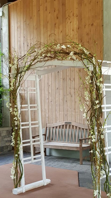 Weeping Willow Tree Wedding Ceremony, Willow Tree Wedding Decorations, Curly Willow Arch, Willow Wedding Arch, Willow Arch, Branch Arch Wedding, Tree Wedding Ceremony, Willow Garland, Willow Tree Wedding