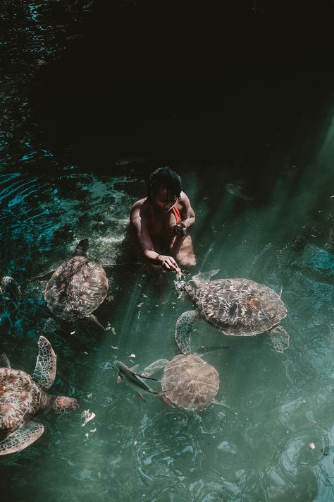 Swimming with Turtles in Nungwi Zanzibar | Style by Silvia Stone Town, Paradise Found, Sea Turtles, All Inclusive Resorts, Africa Travel, Travel Goals, Luxor, Travel Inspo, Cairo