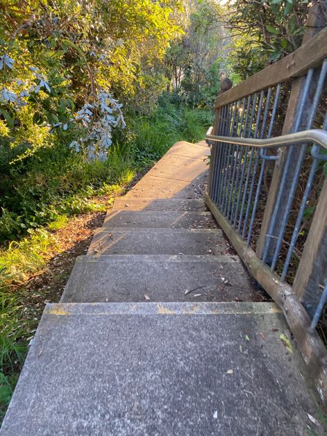 Yo this walkway is so prettyyyy Early Afternoon Aesthetic, Waking Up Early Aesthetic, You Are The Sun, Vivid Dreams, 2023 Vision, How To Wake Up Early, 2024 Vision, Early Morning, Worth It