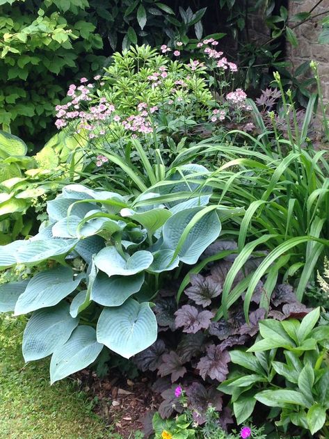 Lush planting Shady Border Plants Uk, Shade Planting, Shady Border, Shady Garden, Shade Garden Design, English Garden Design, Shade Garden Plants, Hosta Gardens, Front Yard Garden Design