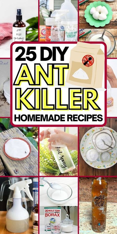 Say goodbye to ants with these safe and natural DIY ant killer recipes. Essential Oil Ant Repellant, Diy Ant Killer Indoor, Ant Repellent Diy Indoor, Ant Killer Natural, Ants Repellent Diy, Diy Ant Killer, Essential Oils Ants, Borax For Ants, Ant Killer Recipe