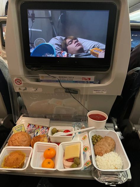 Airplane Food, Window View, Travel Aesthetic, Flight, Dubai, Travel, Photography, Quick Saves