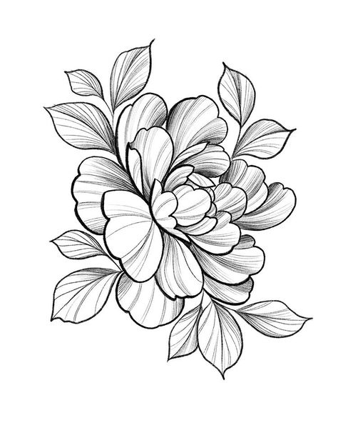 Peonies Drawing, Peony Drawing, Japanese Flower Tattoo, Flower Line Drawings, Floral Tattoo Sleeve, Peonies Tattoo, Floral Tattoo Design, Flower Sketches, Pola Sulam