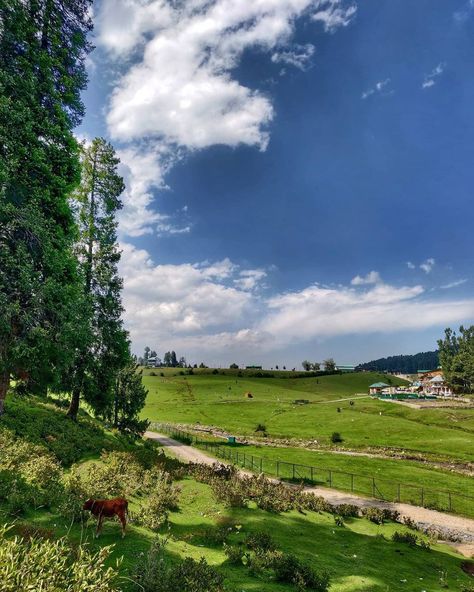 #Yusmarg #Kashmir Yusmarg Kashmir, Beauty Of Kashmir, Eternal Beauty, Cute Hamsters, On My Way, A Fairy Tale, Beautiful Picture, Hamsters, My Way