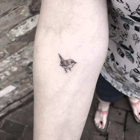 Top 61 Best Small Bird Tattoo Ideas - [2021 Inspiration Guide] Small Bird Tattoo Ideas, Small Sparrow Tattoos, Finch Tattoo, Chickadee Tattoo, Bird Tattoo Ideas, Olive Tattoo, Small Bird Tattoos, Bird Tattoo Men, Little Bird Tattoos