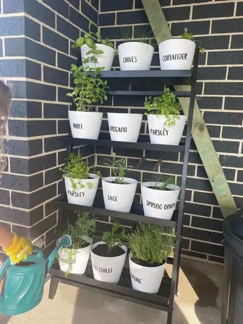 Indoor Spice Garden Wall, Apartment Vertical Garden, Cheap Pretty Garden Ideas, Small Patio Organization Ideas, Outdoor Herb Shelf, Gardening Set Up, Garden On Apartment Balcony, Garden On Patio Apartment, Mini Patio Garden