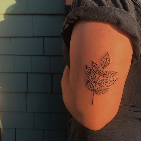 Ash Tree Leaves Tattoo, Ash Leaf Tattoo, Tree Leaves Tattoo, Ash Tree Leaves, Leaves Tattoo, Ash Leaf, Leaf Tattoo, Ash Tree, Smart Auto